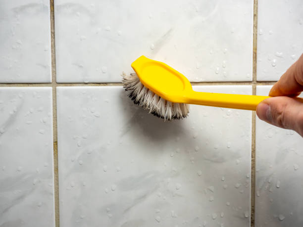 Best Local Mold Removal Service  in Cornwall, PA