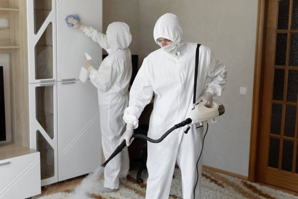 Mold Removal Process in Cornwall, PA