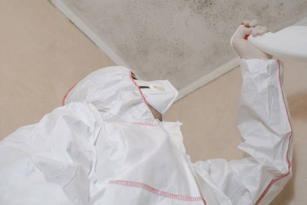 Best Mold Inspection  in Cornwall, PA